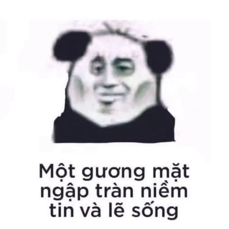 meme khịa 49