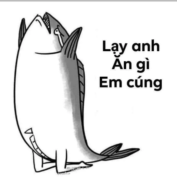 meme lạy 6