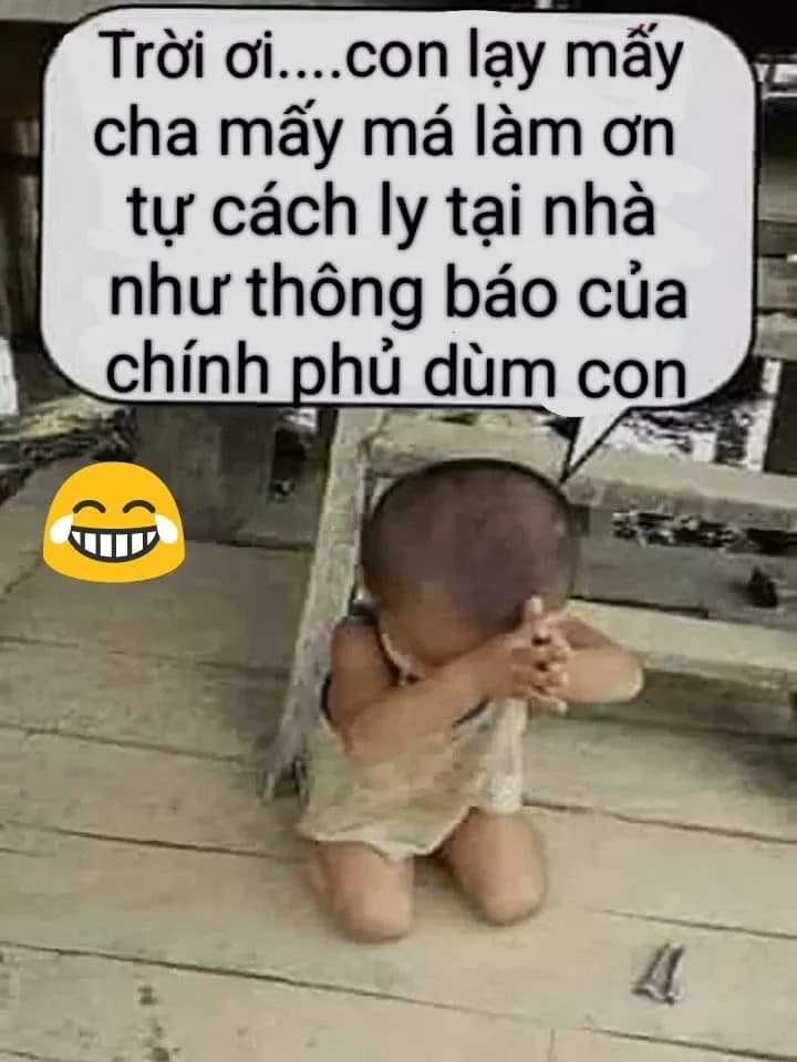 meme lạy 29