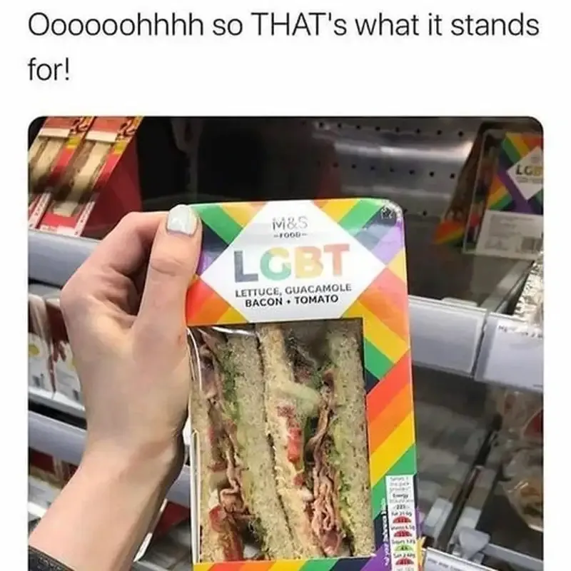 meme lgbt 33