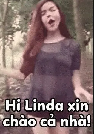 meme linda 2