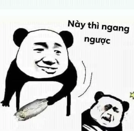 meme mất ngủ 4