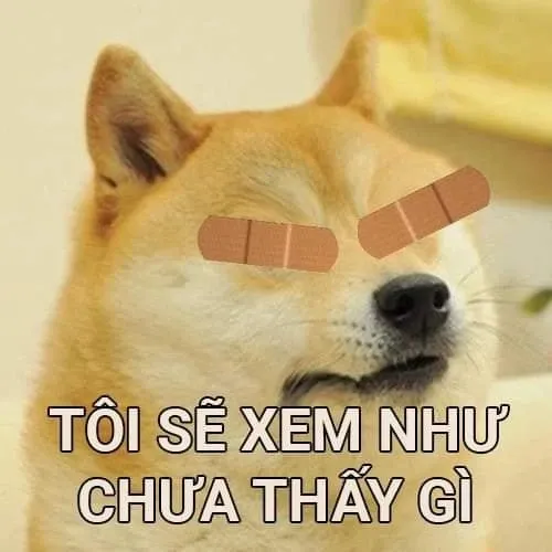 meme mất ngủ 7