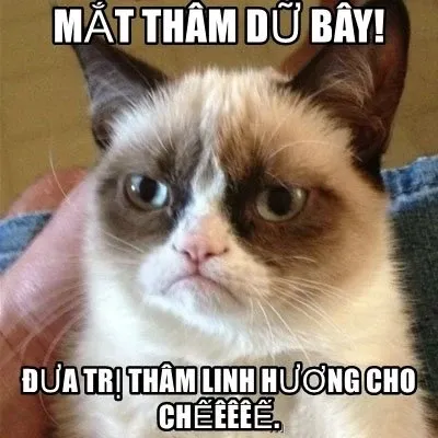 meme mất ngủ 10