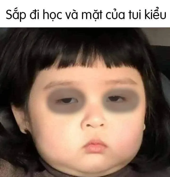 meme mất ngủ 11