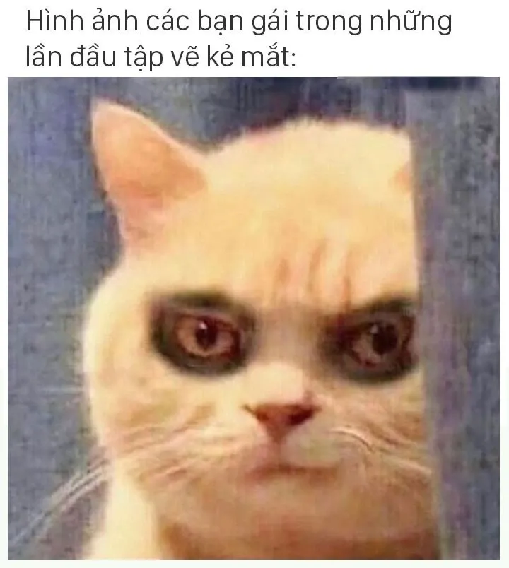 meme mất ngủ 33