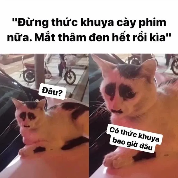 meme mất ngủ 38