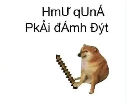 meme mèo đánh nhau 9