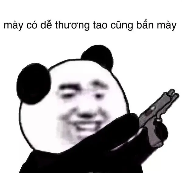 meme mèo đánh nhau 20