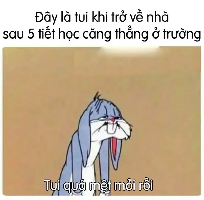 meme mệt mỏi 22