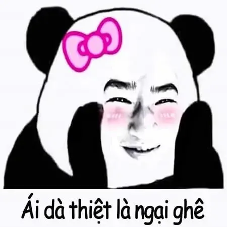 meme ngại 28