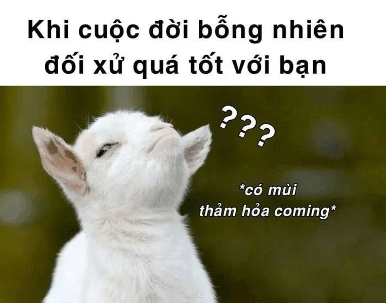 meme nghi ngờ 8