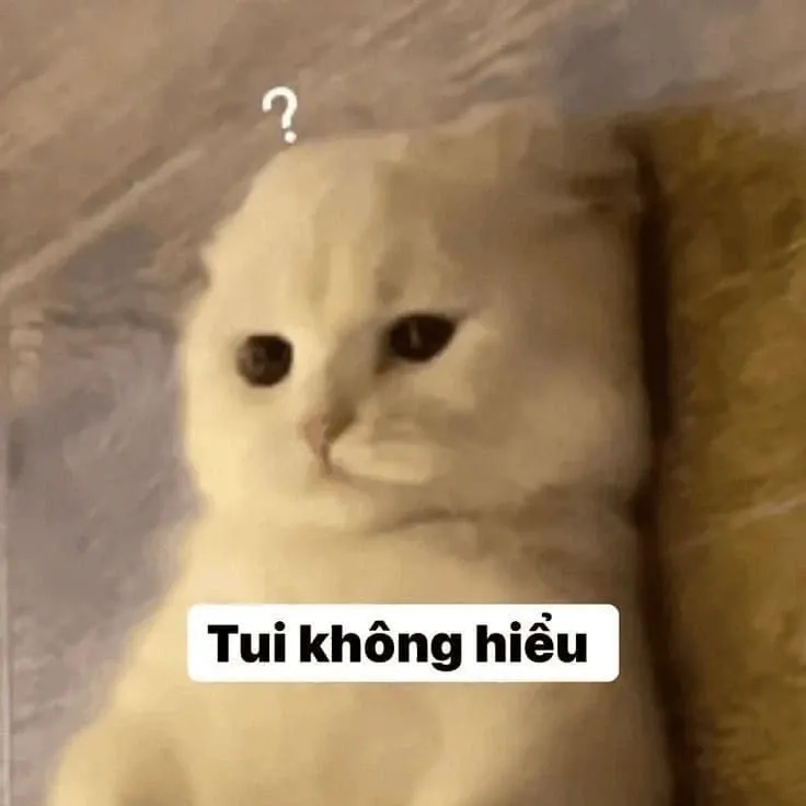 meme nghi ngờ 18