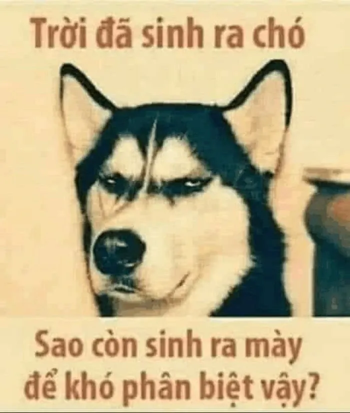 meme nghi ngờ 25