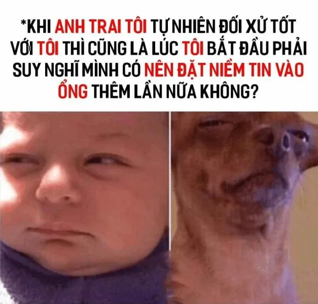 meme nghi ngờ 29