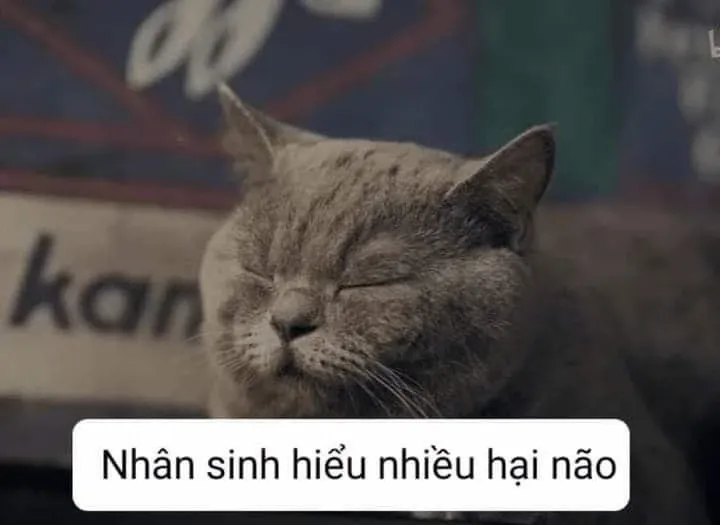 meme nghi ngờ 40