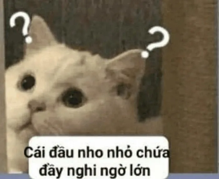 meme nghi ngờ 41