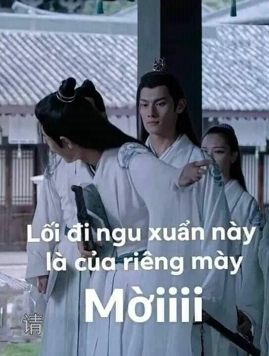 meme ngu 31