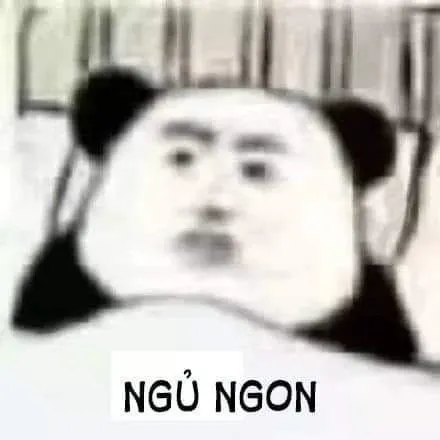 meme ngủ ngon 25