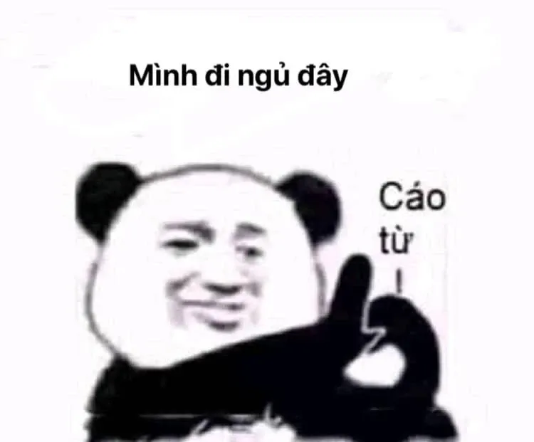 meme ngủ ngon 26