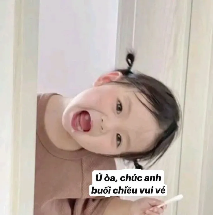 meme nhắn tin 5