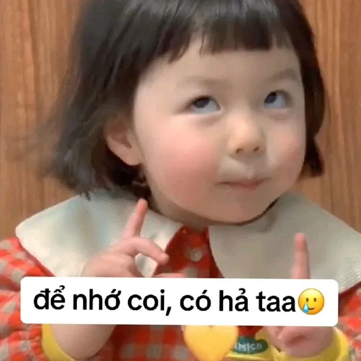 meme nhắn tin 6