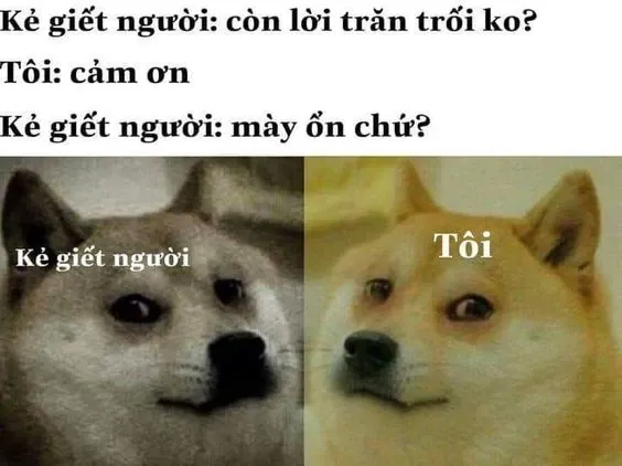 meme nhân văn 17