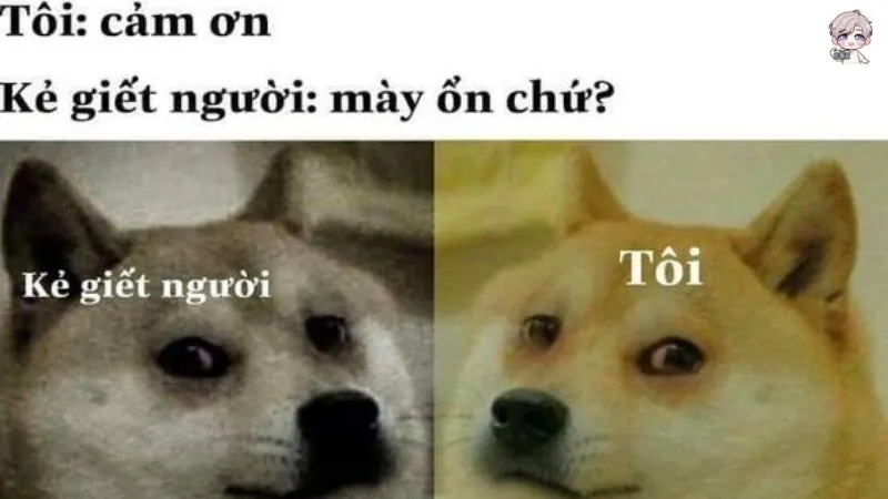 Tuyển chọn những ảnh meme nhân văn khiến bạn cảm động cười không ngớt