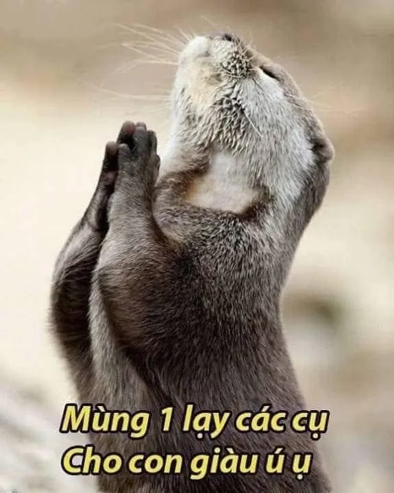 meme quỳ lạy 20