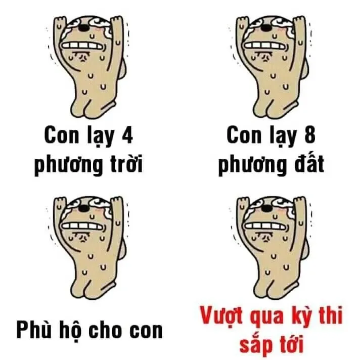 meme quỳ lạy 21