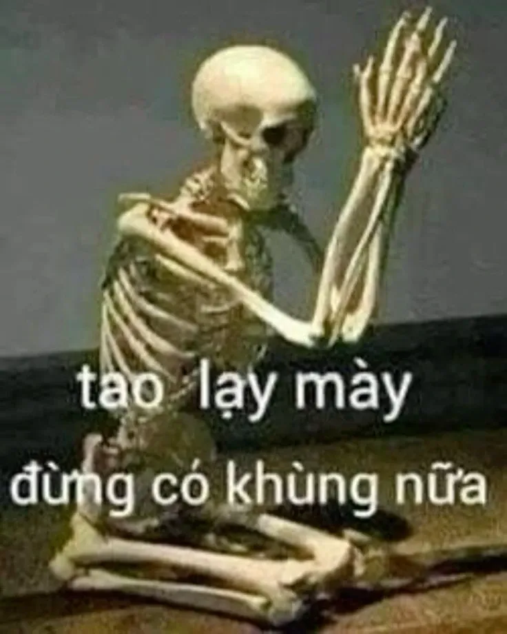 meme quỳ lạy 38