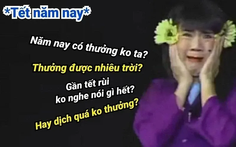 meme tết 30