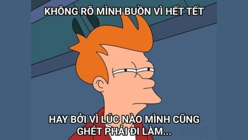 meme tết 46