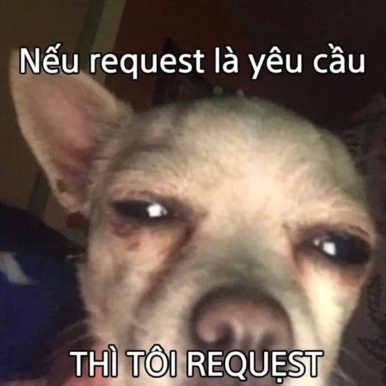 meme thả thính 5