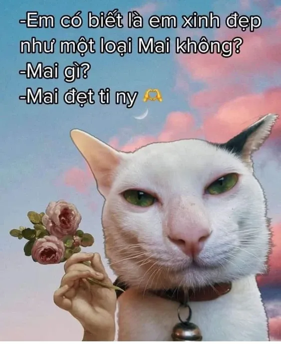 meme thả thính 21