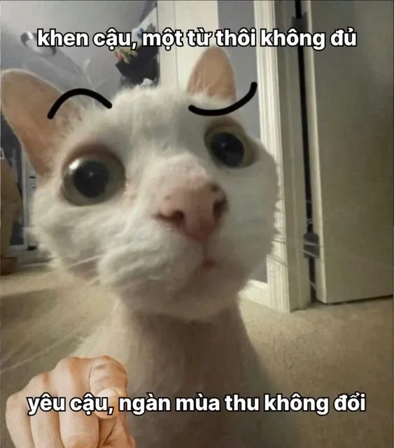 meme thả thính 46