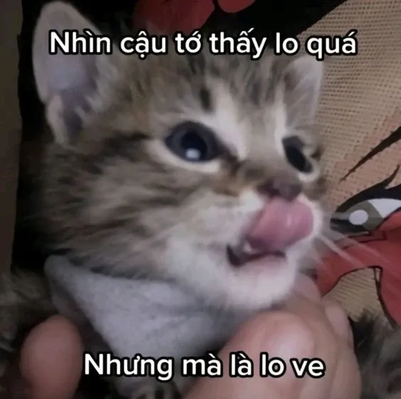 meme thả thính 54