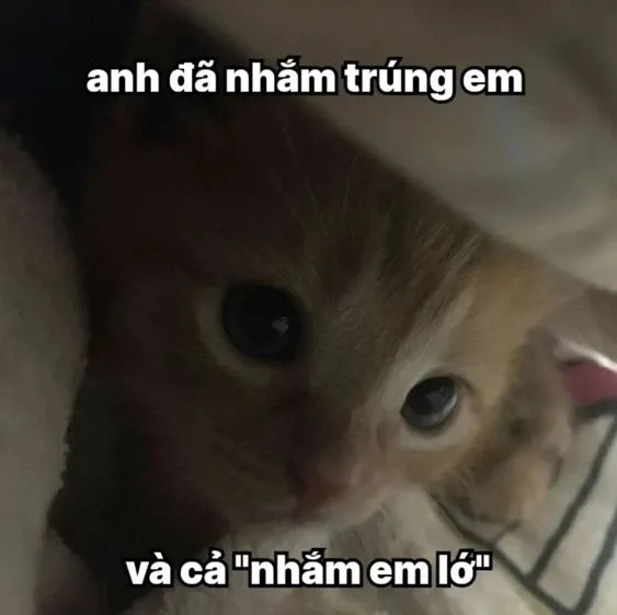 meme thả thính 55