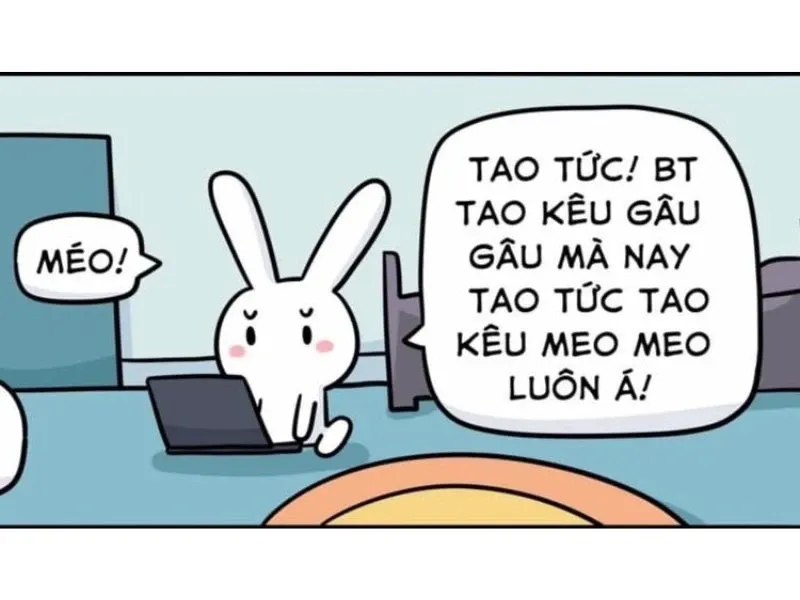 meme thỏ 29