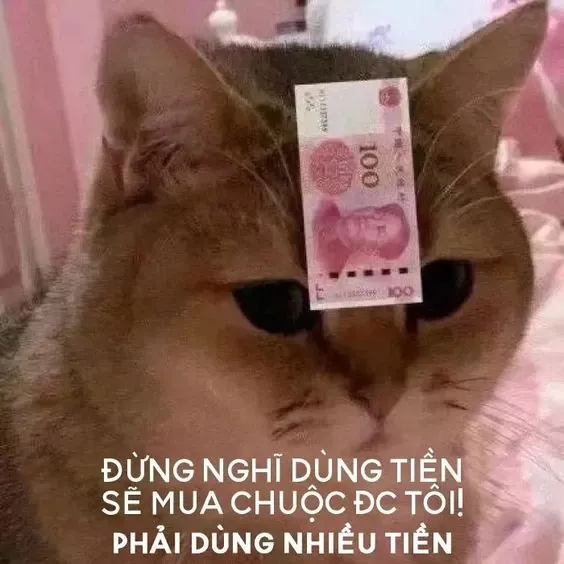 meme tiền 2