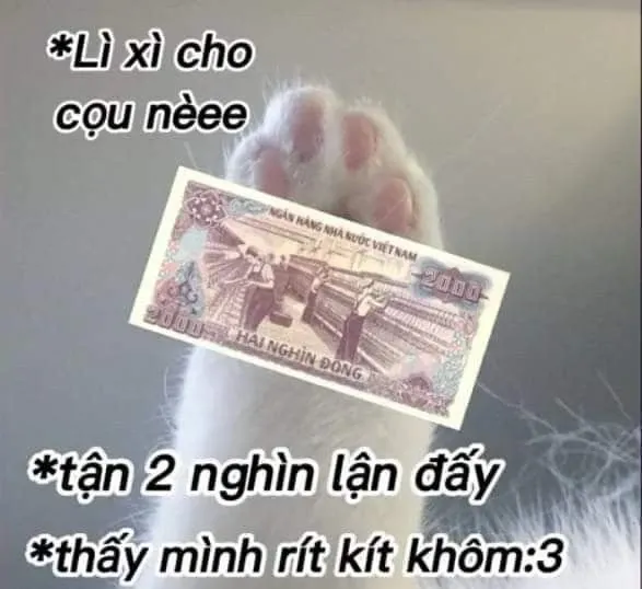 meme tiền 13