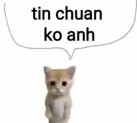 meme tin chuẩn chưa anh 11