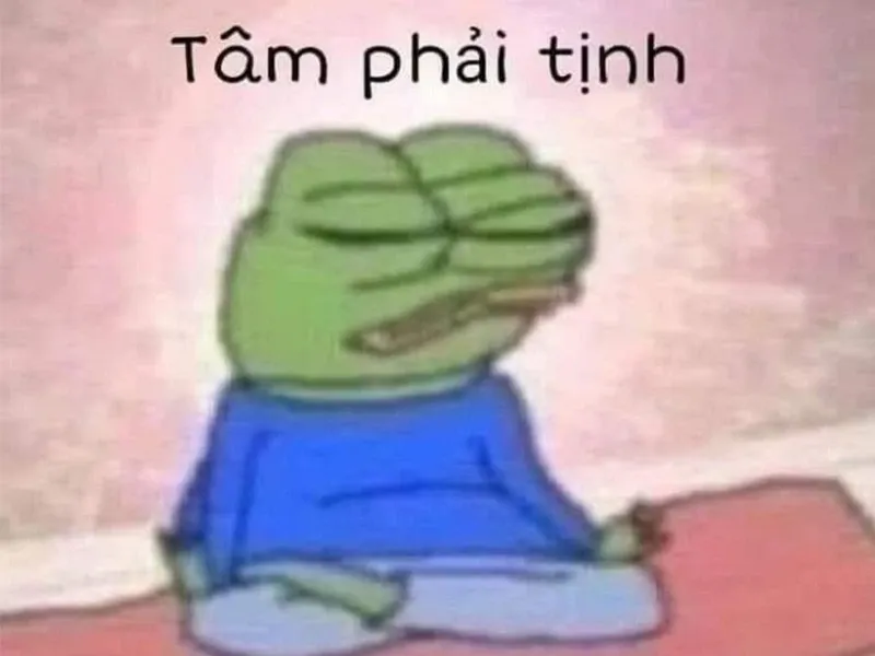 meme tịnh tâm 8