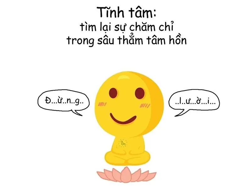 meme tịnh tâm 10