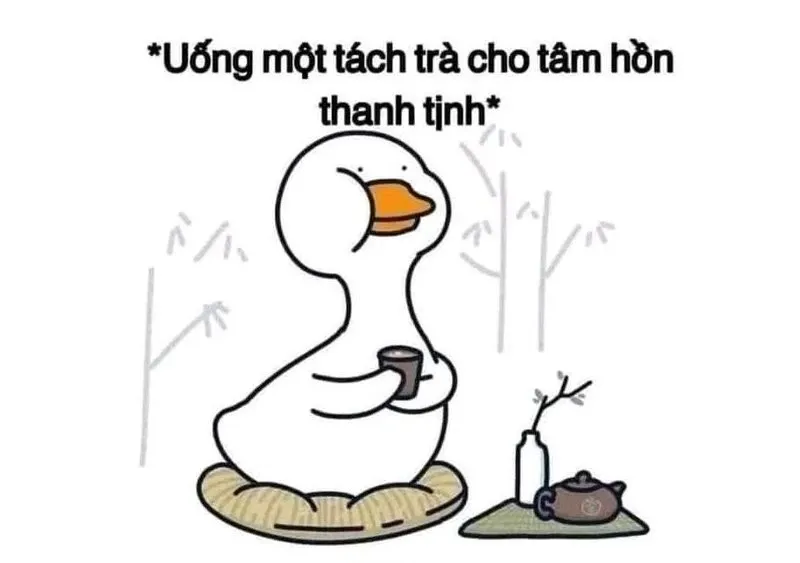 meme tịnh tâm 11