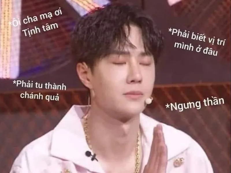 meme tịnh tâm 15