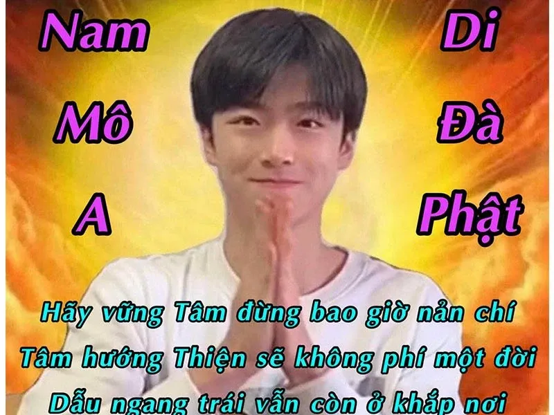 meme tịnh tâm 21