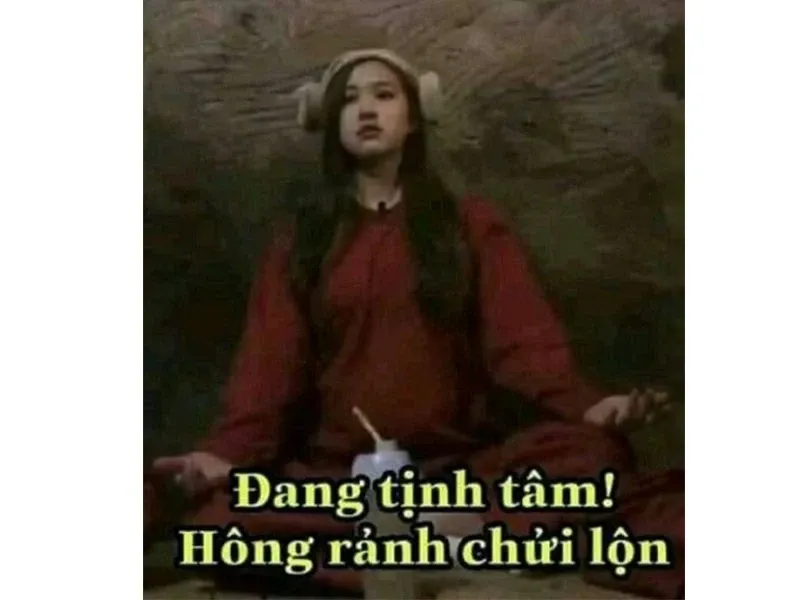 meme tịnh tâm 25