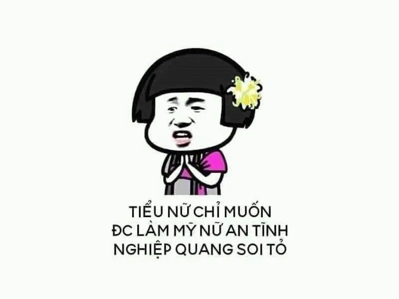 meme tịnh tâm 26