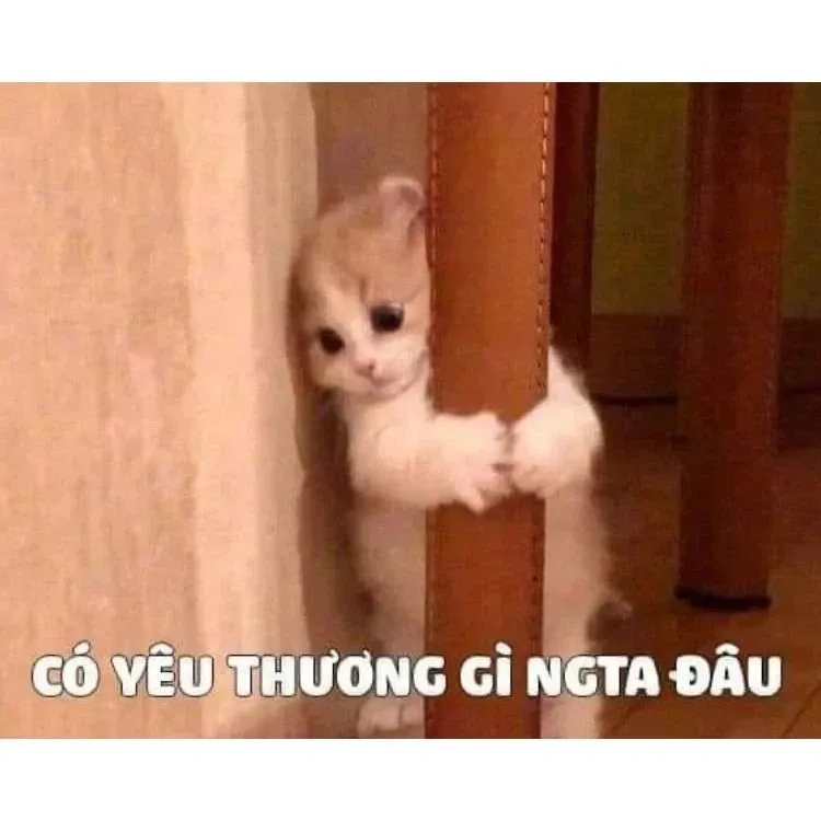 meme tình yêu 41